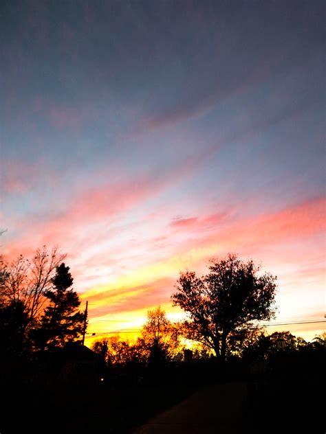 Free Images Tree Horizon Cloud Sun Sunrise Sunset Field