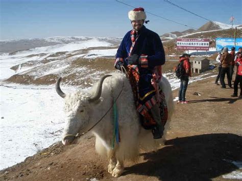 Yak Riding In Central Asia Caravanistan