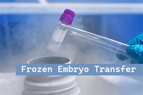 Things To Know About Frozen Embryo Transfer Procedure By Sci Ivf