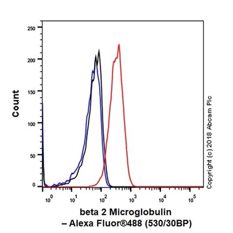 Anti Beta 2 Microglobulin 抗体 Epr21752 214 Ab218230