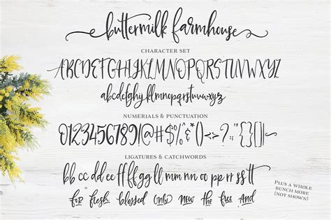 FONT FRIDAY - BUTTERMILK FARMHOUSE, A RUSTIC SCRIPT FONT — Sincerely ...