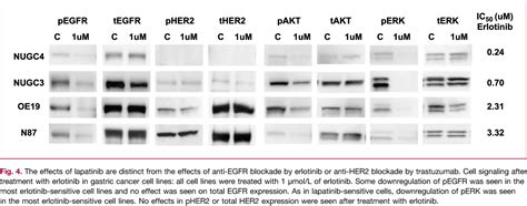 Figure From Lapatinib A Dual Egfr And Her Kinase Inhibitor