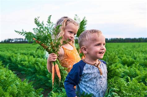 Nutrinor Sassocie La Coop Rative Fa Pour Compenser Une Partie De Ses