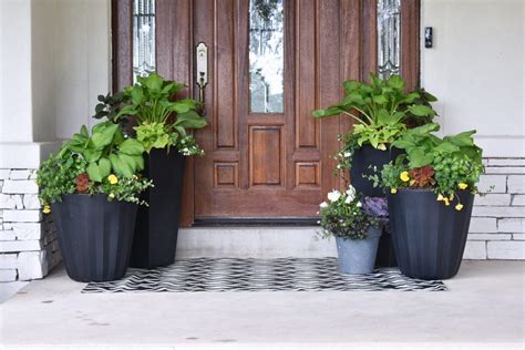 Simple Summer Planter Pot Ideas For Shade Home With Holliday