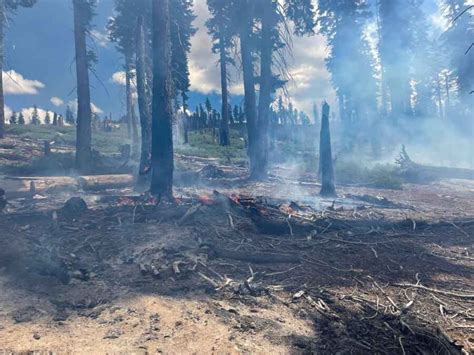 Red Fire August 14 2022yosemite Np Photo Wildfire Today