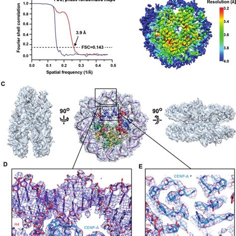 Phase Plate Cryo EM Structure Of The CENP A NCP A Fourier Shell