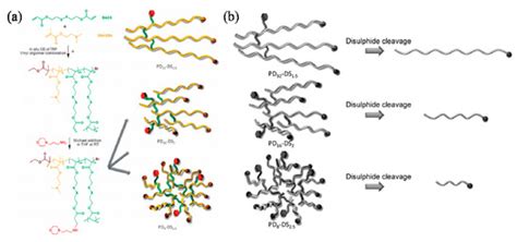 Polymers Special Issue Precision Polymer Synthesis