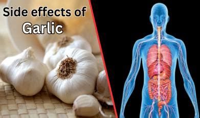 Side effects of eating raw garlic everyday