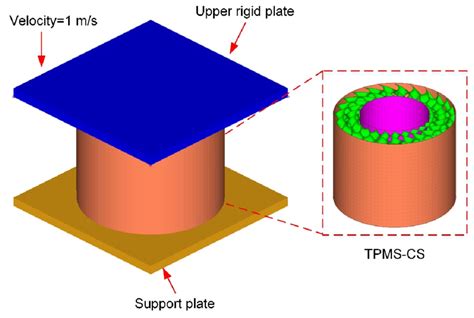 Fe Model Of The Tpms Cs Structure Download Scientific Diagram