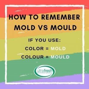 Mold or Mould: What is the Difference? - Ultra Fresh