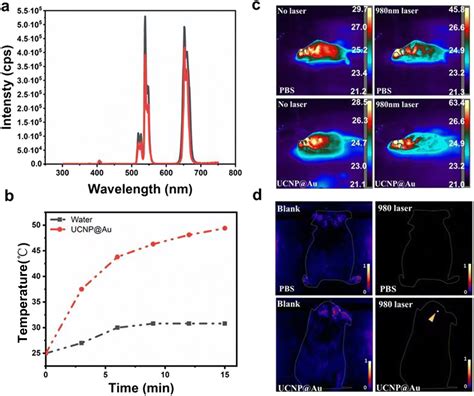 Engineered Rare Earth Nanomaterials For Fluorescence Imaging And