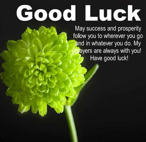 150 Good Luck Wishes Quotes Sayings And Messages Dreams Quote