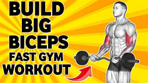 How To Build Big Biceps Fast Gym Exercises How To Build Big Arms