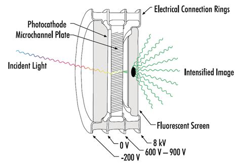 intensifier     scientific diagram