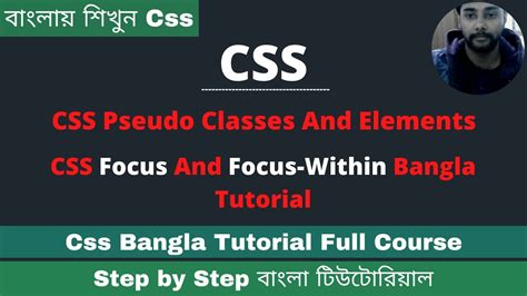 CSS Focus And Focus Within Bangla Tutorial CSS Pseudo Classes And