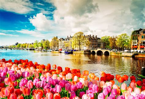 Best Time to Visit Amsterdam | Visit Amsterdam | Trip to Amsterdam