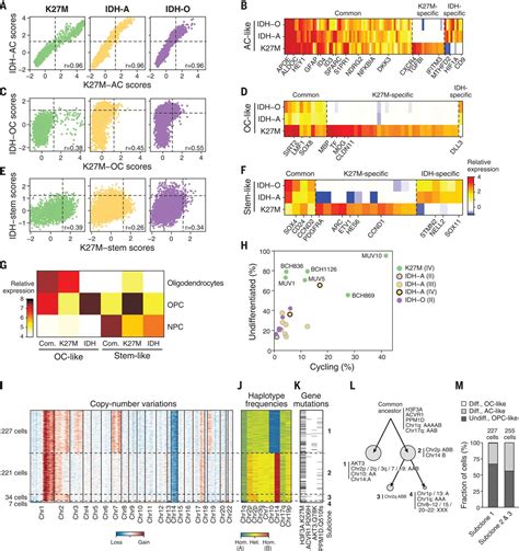 Developmental And Oncogenic Programs In H K M Gliomas Dissected By