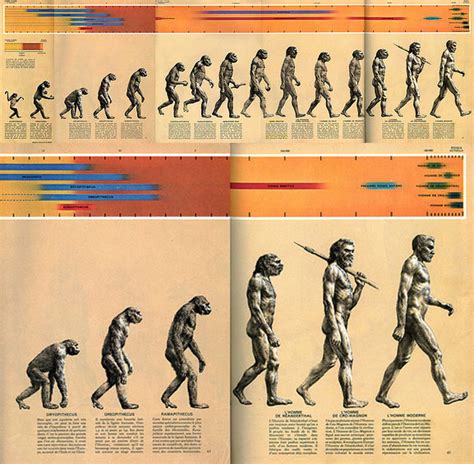 March of Progress (1965) | March of Progress Parodies | Know Your Meme