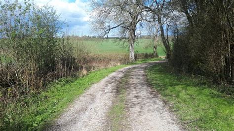 Footpath On Farm Track Curving Round The © David Martin Geograph