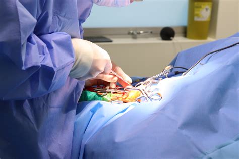 Veterinary Surgical Equipment | Surgical Instrument Packs