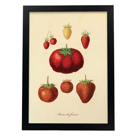 Affiche Nacnic De Des Fraises Inspiré Par De Cuisine Vintage Cadres