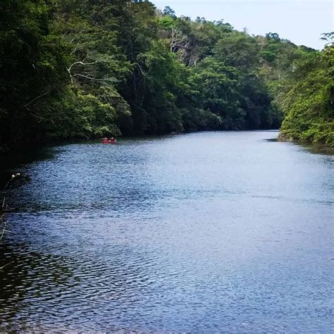 Exploring the Stunning Macal River