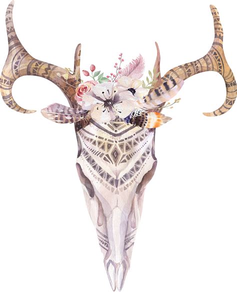 Antlers And Flowers Png Free Boho Cow Skull Png Free Transparent