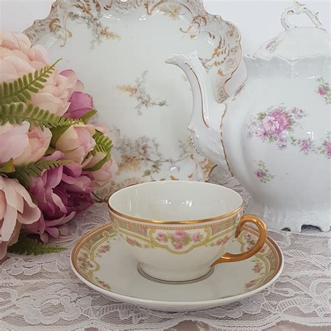 Limoges Elite Works Tea Cup And Saucer With Pink Roses