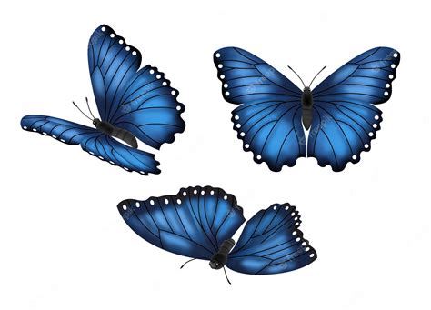 Conjunto De Mariposas Azules Vector Premium