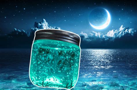 El Secreto De La Energ A Lunar Agua De Luna Sorprendente Ritual