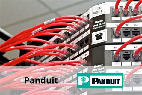 Panduit Client Senior Software 450 Implementari