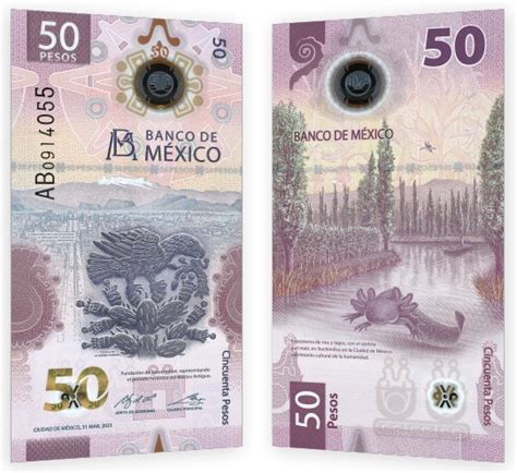 Xochimilcos Endemic Axolotl To Appear On New 50 Peso Bill 40 Off