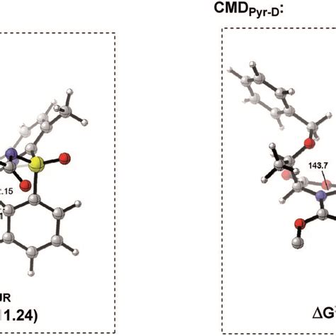 Transition Structures For Each Cmdpyr Approach Tert Butyl Group From Download Scientific