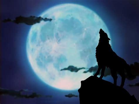 A Picture Of A Wolf Howling Wallpaper Wolf Howling At The Moon Saying