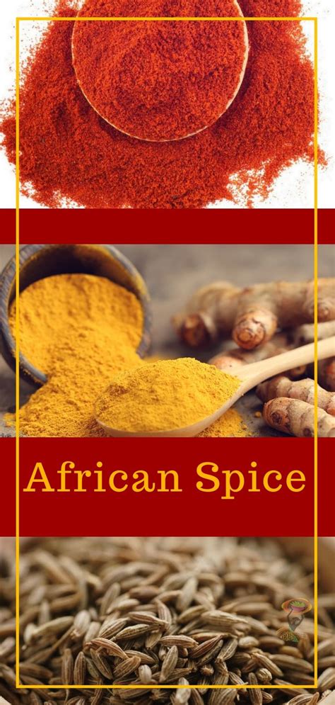 Different Types Of Spices Are Shown With The Words African Spice In Red