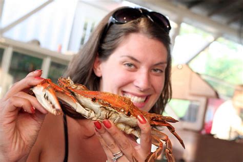 Steamin’ summer: Where to find local crabs in the DC area - WTOP News