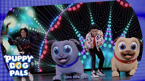 Puppy Dog Pals On Tour Disney Junior Dance Party Youtube