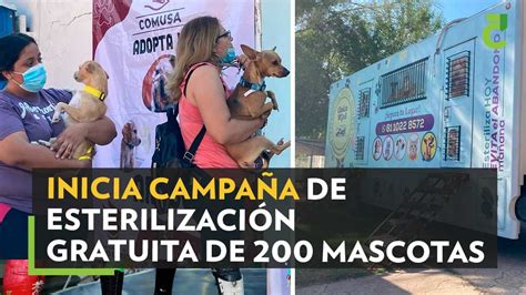 INICIA CAMPAÑA DE ESTERILIZACIÓN GRATUITA DE 200 MASCOTAS