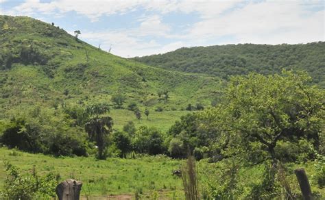 FOTOS La sierra de Sinaloa se pinta de colores mágicos