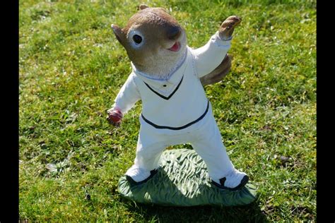 Squirrel Cricket Bowler Garden Or Home Resin Ornament Etsy Uk