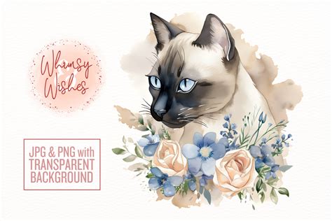 Siamese Cat Floral Watercolor Clip Art Graphic By Whimsyandwishes