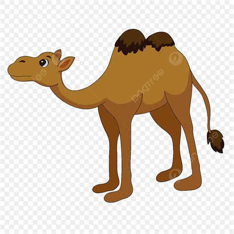 Cute Camel Clipart Hd Png Cute Skinny Camel Clipart Lovely Twin Peaks Camel Clipare Png