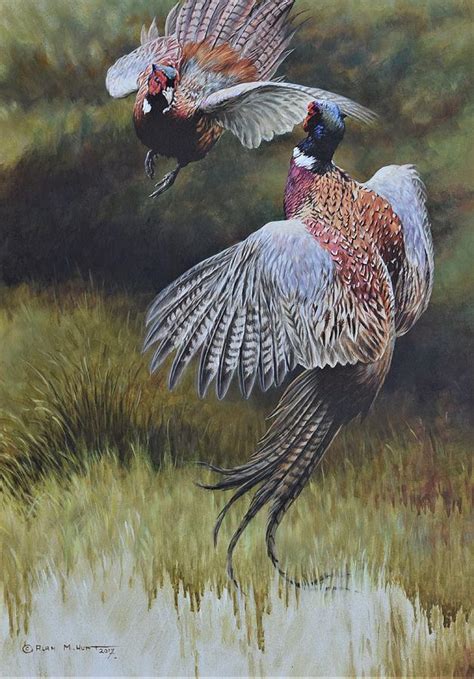 Pheasants Fighting Painting By Alan M Hunt