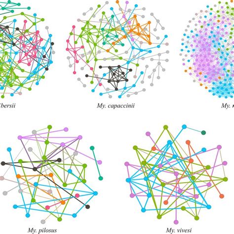 Microbial Co Occurrence Networks Of Different Bat Species The