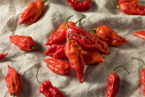 ghost pepper facts   surprise  pepperscale