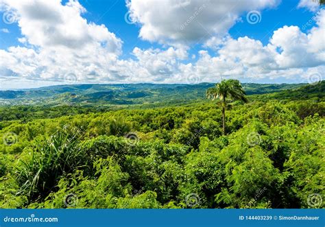 Farley Hill National Park On The Caribbean Island Of Barbados It Is A