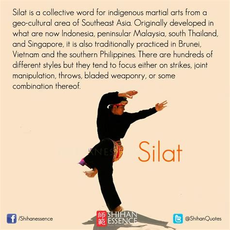 bunga cantik pencak silat united states  america sacramento pencak