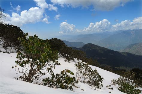 Places to Visit in Dhanaulti - Most Famous Dhanaulti Places to Visit ...