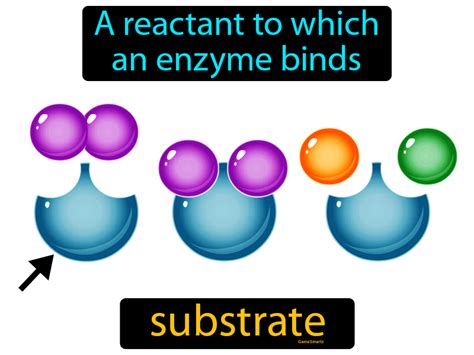 Substrate Definition & Image | GameSmartz