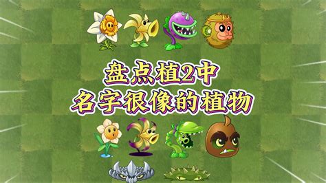 Pvz2：盘点植2中名字很像但用途差别很大的植物！ 小王不菜呀 小王不菜呀 哔哩哔哩视频